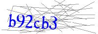 Visual Verification