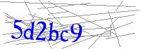 Visual Verification