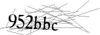 Visual Verification