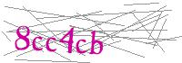 Visual Verification