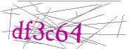 Visual Verification