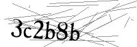 Visual Verification