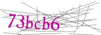 Visual Verification