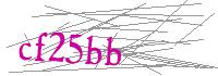 Visual Verification