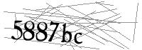 Visual Verification