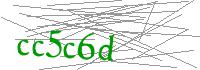 Visual Verification