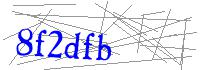 Visual Verification