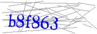 Visual Verification