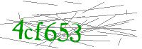Visual Verification