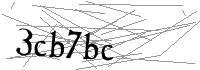 Visual Verification