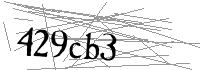 Visual Verification