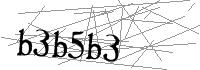 Visual Verification