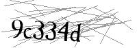 Visual Verification