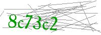 Visual Verification