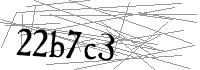 Visual Verification