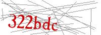 Visual Verification