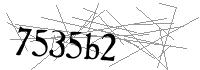 Visual Verification