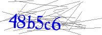 Visual Verification