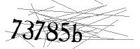 Visual Verification
