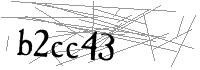 Visual Verification