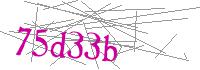 Visual Verification