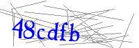 Visual Verification