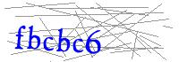 Visual Verification