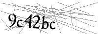 Visual Verification
