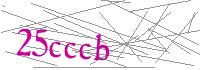Visual Verification