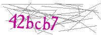 Visual Verification