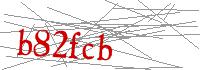Visual Verification