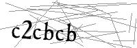 Visual Verification