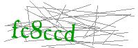 Visual Verification