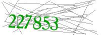 Visual Verification