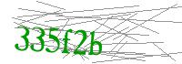 Visual Verification