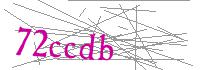 Visual Verification