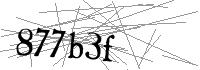 Visual Verification