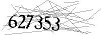 Visual Verification