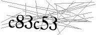 Visual Verification