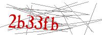 Visual Verification