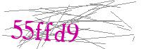 Visual Verification