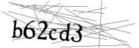 Visual Verification