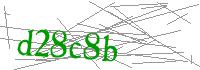 Visual Verification