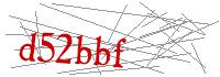 Visual Verification
