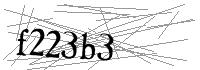 Visual Verification