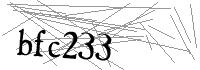 Visual Verification