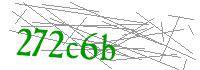 Visual Verification