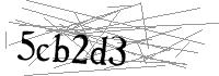 Visual Verification
