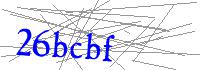 Visual Verification