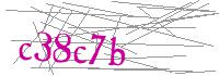 Visual Verification